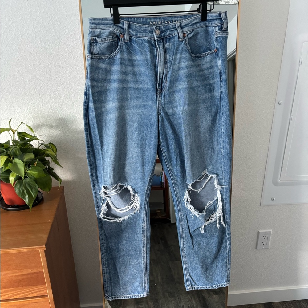 AE Ripped Jeans